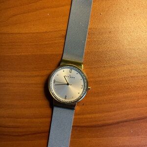 Silver Mesh Strap Watch Skagen